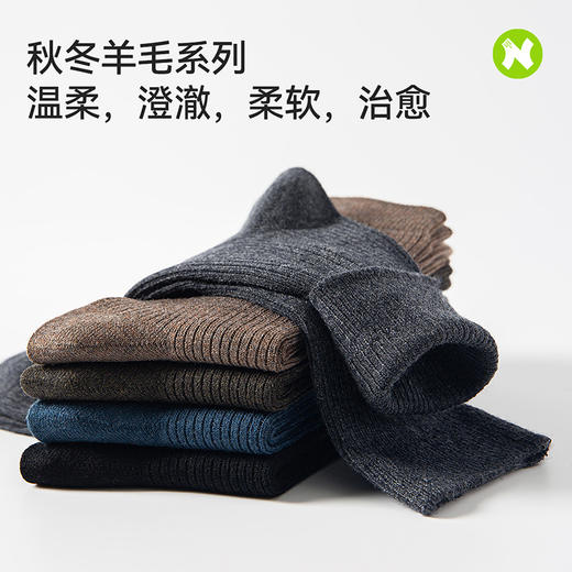 【耐尔】双针丝光羊毛男袜 商品图4