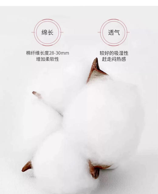 冬季纯棉纱线中筒袜  经典款式  吸汗防臭   透气性强  知你所需  想你所想 商品图4