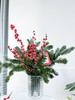 【圣诞快乐】AB级国产诺贝松1大支+AB级冬青2支.长约50-60cm（无卡片） 商品缩略图2