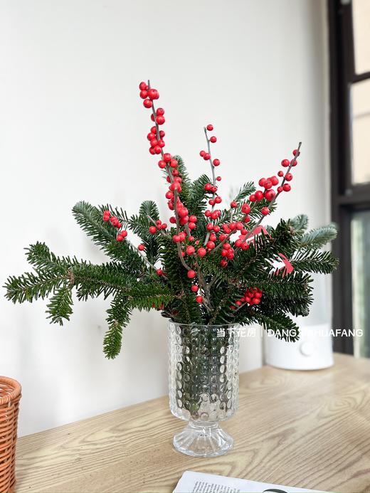 【圣诞快乐】AB级国产诺贝松1大支+AB级冬青2支.长约50-60cm（无卡片） 商品图14