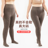 大码打底袜【加厚可穿200斤加大连裤袜】仿羊绒 咖色加绒打底裤 棉条纹  商品缩略图0