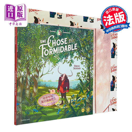 【中商原版】法国绘本天后 海贝卡新作 一件美妙的事情 法文绘本 附有音频 法文原版 Une chose formidable DAUTREMER REBECCA 商品图0
