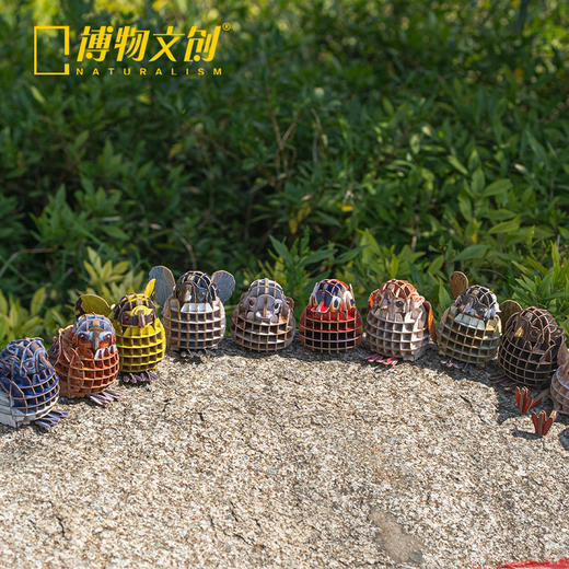 上新 | 博物文创 为自然发声系列纸模麻雀红头长尾山雀翠鸟可发声纸模 商品图4
