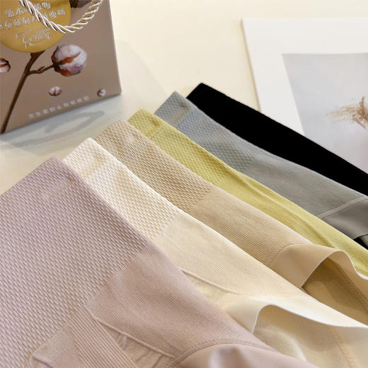 6条礼盒装【乳木棉桑蚕丝养护收腹内裤】 高弹提拉 舒适透气 桑蚕丝纤维底裆 商品图1