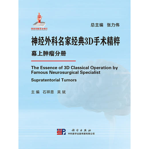 神经外科名家经典3D手术精粹·幕上肿LIU分册（U盘）石祥恩，吴斌 商品图1