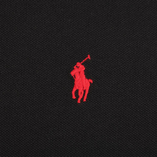 POLO RALPH LAUREN 拉夫劳伦 男士偏厚款全棉运动休闲Polo衫T恤 11853 商品图4