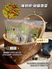 北念贡菜一袋 商品缩略图0