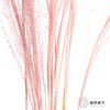 永生花材 | 粉黛乱子草粉色 商品缩略图3