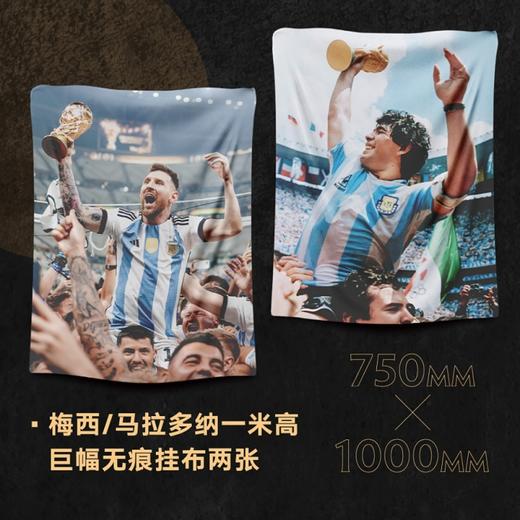 【限量增订特装版】冠军阿根廷：2022年世界杯夺冠典藏 商品图2