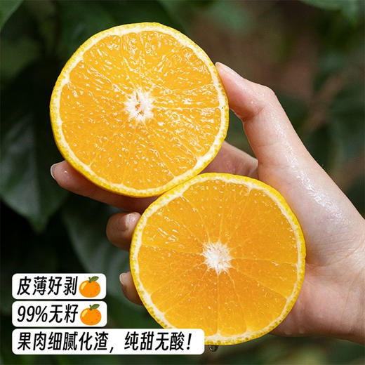 顺丰/京东发货【赣州·会昌桔柚】地理标志产品，又像柚子又像桔！果肉细腻化渣，皮薄好剥，清甜不腻 商品图3