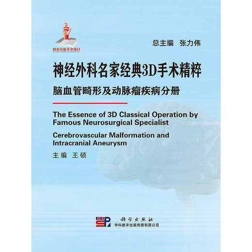神经外科名家经典3D手术精粹·脑血管畸形及动脉瘤疾病分册（U盘）王硕 商品图7