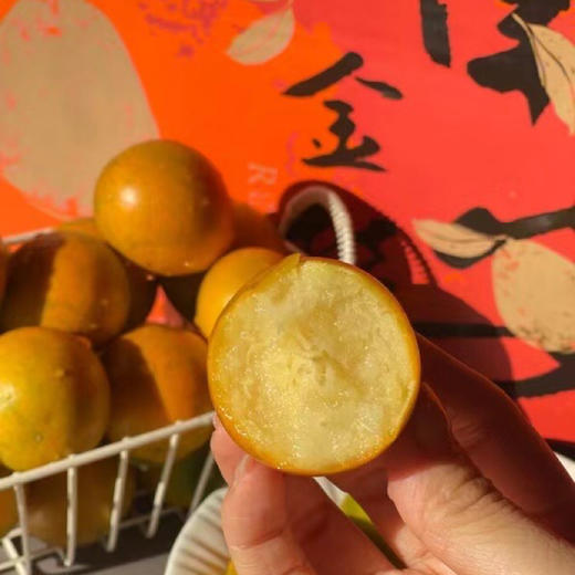 【广西融安】脆蜜金柑 第3代 果大香浓 多汁化渣 商品图4