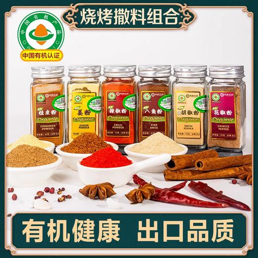 有机白胡椒粉 八角粉 桂皮粉 辣椒粉 花椒粉 椒盐粉 五香粉 姜粉 烧烤家庭调料小瓶 来自云南文山佰家珍品 商品图3