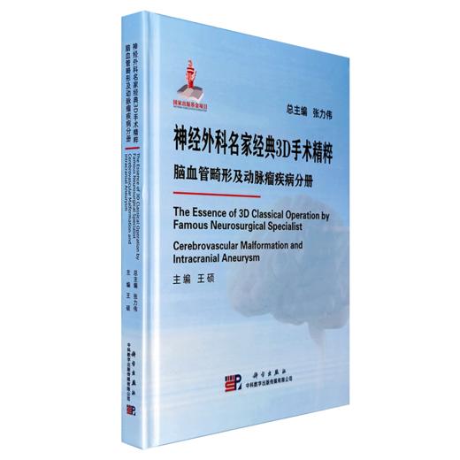 神经外科名家经典3D手术精粹·脑血管畸形及动脉瘤疾病分册（U盘）王硕 商品图8