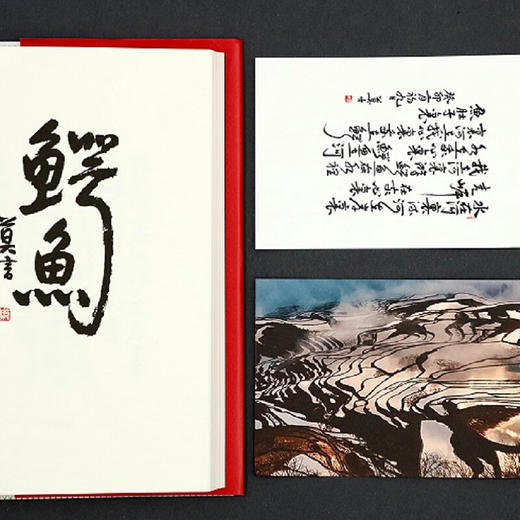 鳄鱼 莫言 著 商品图3