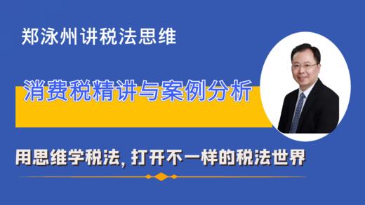 消费税理论与实务案例分析（含流转税书） 商品图0
