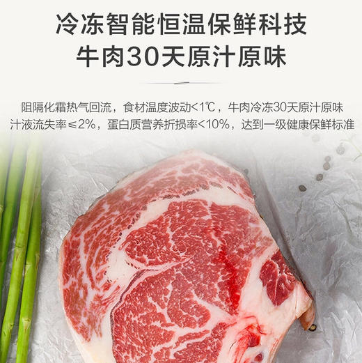 海尔（Haier）冰箱 BCD-518WGHTD1BGNU1 商品图2