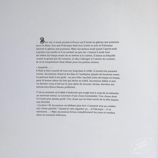 【中商原版】法国绘本天后 海贝卡新作 一件美妙的事情 法文绘本 附有音频 法文原版 Une chose formidable DAUTREMER REBECCA 商品图4