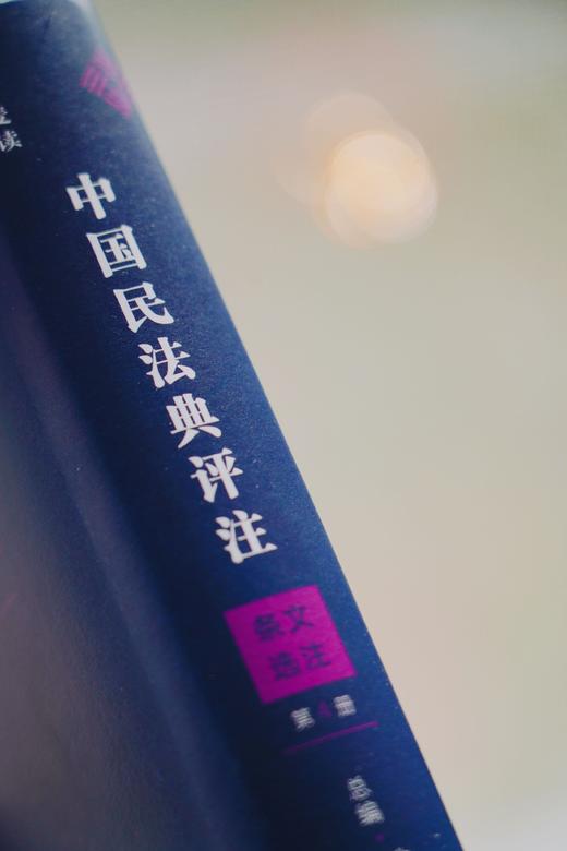 《中国民法典评注 · 条文选注（第4册）物权编合同编侵权责任编》 商品图11