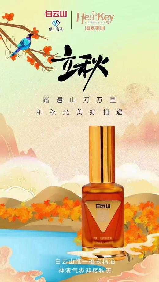 【全新升级版白云山维一植物精油】-现货 商品图3
