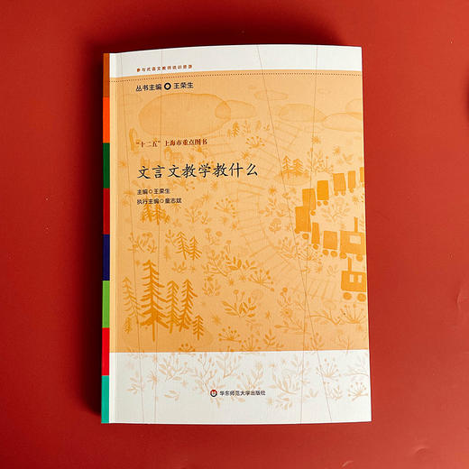 文言文教学教什么 参与式语文教师培训资源 王荣生 教育理论 商品图1