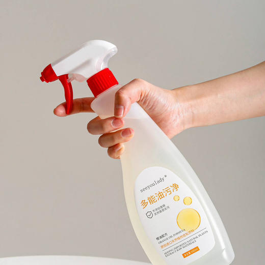 【自主产品】多功能油污净600ml*2瓶 商品图8