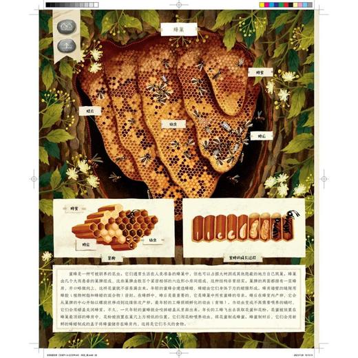 动物建筑师 商品图1