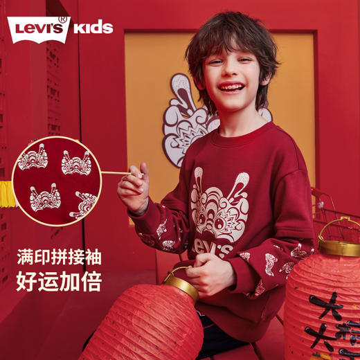 LEVIS 春 大童小童 儿童童装卫衣 LVN-FW-L571 商品图4