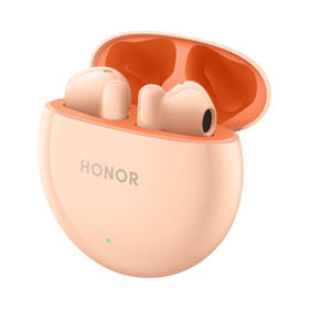 荣耀Earbuds X5 真无线蓝牙耳机 半入耳通话降噪 超大动圈澎湃低音