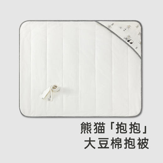 【商场同款】英氏熊猫抱被新生儿抗菌抱被防脱手四季新款包被 商品图1