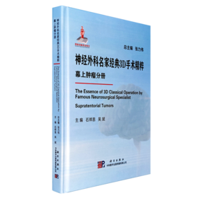 神经外科名家经典3D手术精粹·幕上肿LIU分册（U盘）石祥恩，吴斌