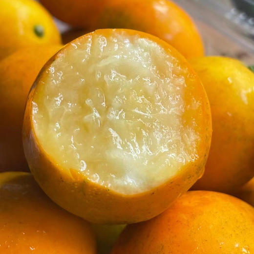 【广西融安】脆蜜金柑 第3代 果大香浓 多汁化渣 商品图2