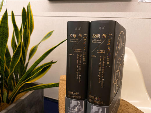 拉康传：重现拉康混乱、固执、反叛的一生 商品图6