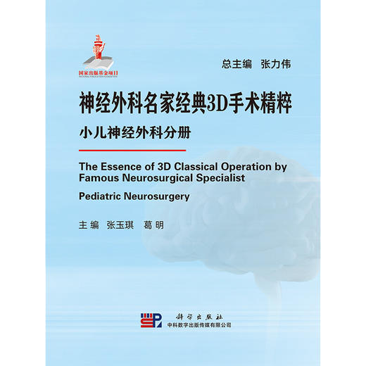 神经外科名家经典3D手术精粹·小儿神经外科分册（U盘）张玉琪，葛明 商品图1