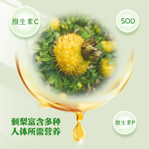 安顺西秀【刺罐罐刺梨原汁】50ml*10瓶 原汁原味  喝得放心 全国包邮（五区不发货） 商品图2