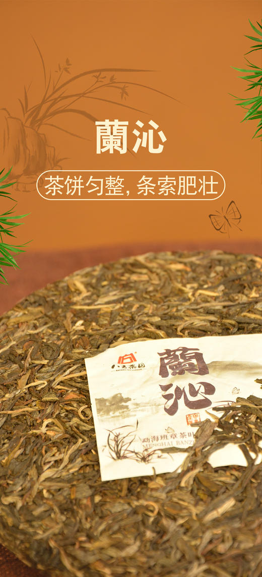 八方茶园蘭沁普洱 生茶357g/饼 商品图2