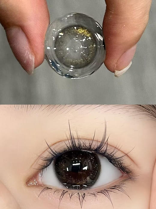 【中直径半年抛】Jellydoll-黑金玫瑰-14.2mm【半年抛 0-1000度 含525/575】 商品图1