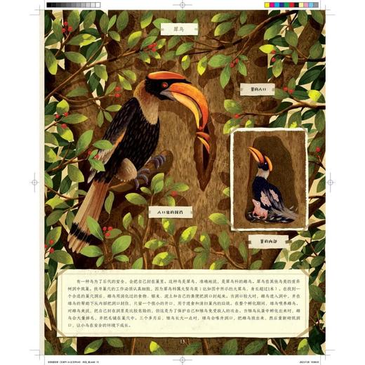 动物建筑师 商品图3