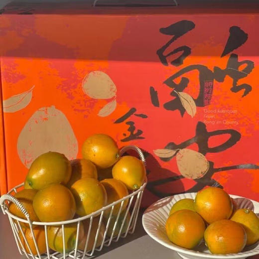 【广西融安】脆蜜金柑 第3代 果大香浓 多汁化渣 商品图5