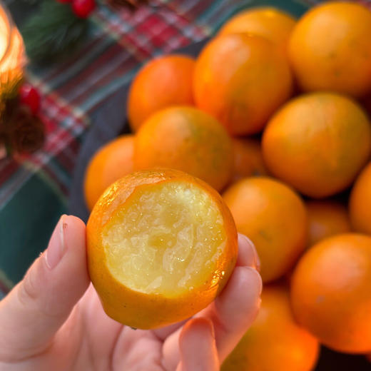 【广西融安】脆蜜金柑 第3代 果大香浓 多汁化渣 商品图1