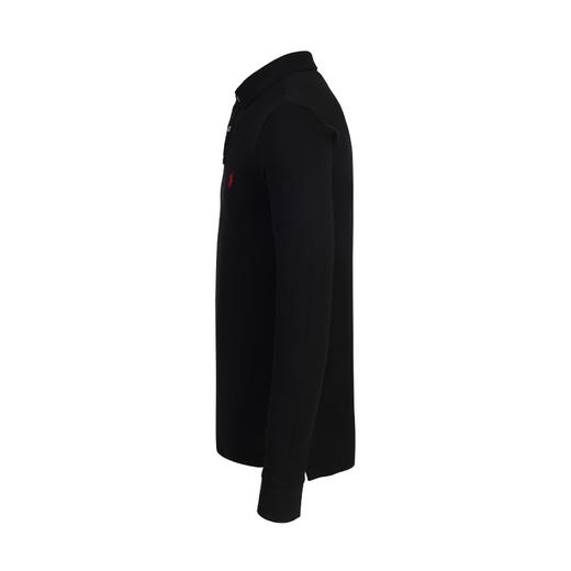 POLO RALPH LAUREN 拉夫劳伦 男士偏厚款全棉运动休闲Polo衫T恤 11853 商品图1