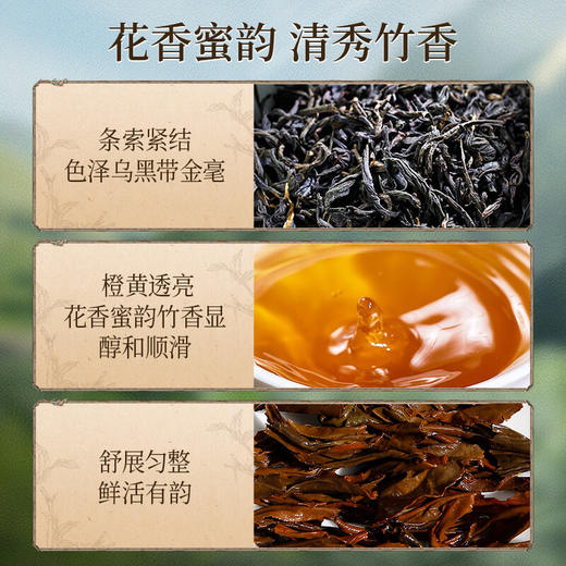 正山堂广元红 骏眉中国秘境熊猫红茶礼盒装 四川特级红茶正宗100g 商品图4