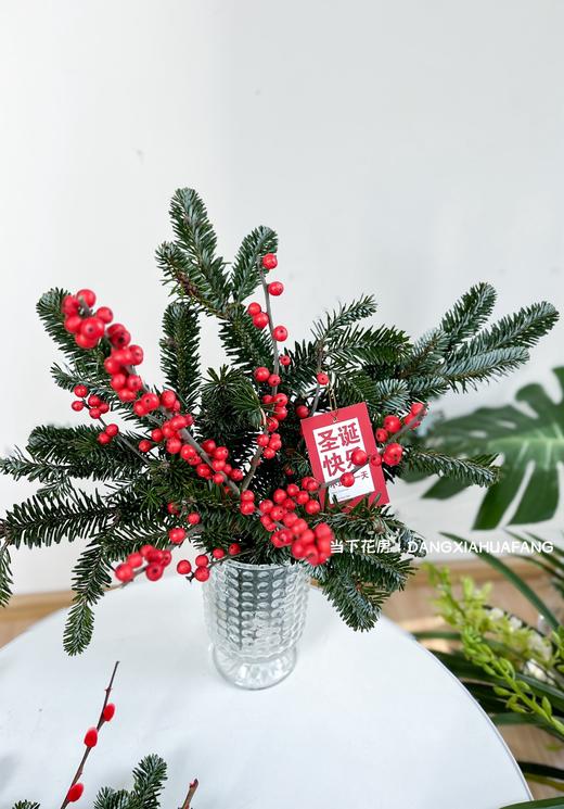 【圣诞快乐】AB级国产诺贝松1大支+AB级冬青2支.长约50-60cm（无卡片） 商品图3