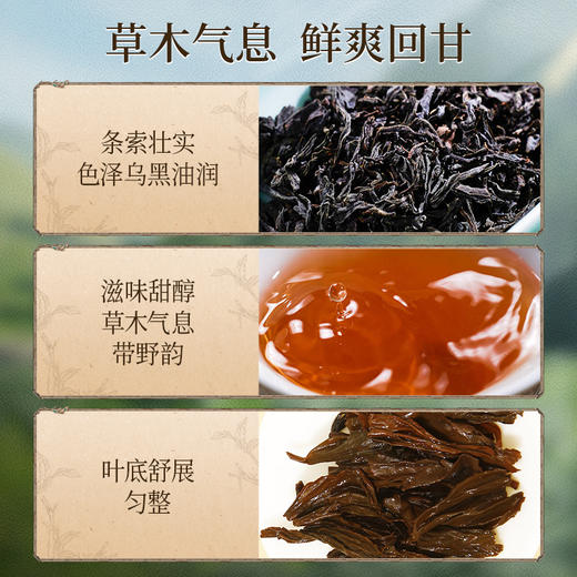 正山堂巴东红 骏眉中国秘境小神农架野茶礼盒装 湖北特级红茶100g 商品图3