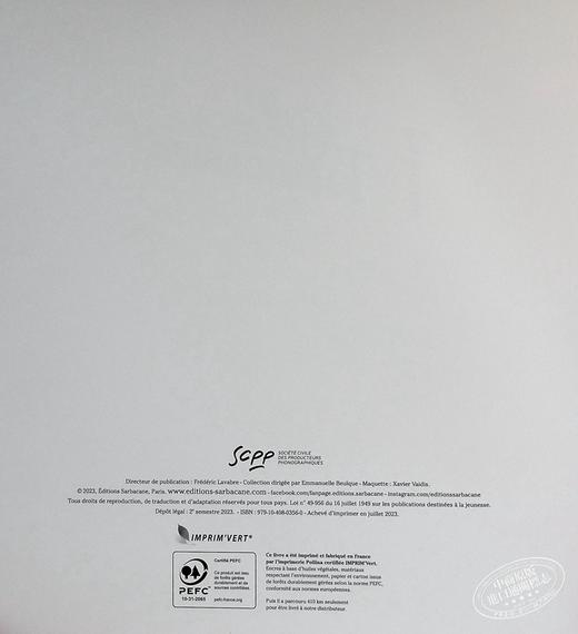 【中商原版】法国绘本天后 海贝卡新作 一件美妙的事情 法文绘本 附有音频 法文原版 Une chose formidable DAUTREMER REBECCA 商品图3