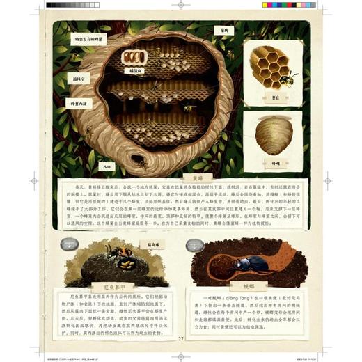 动物建筑师 商品图4