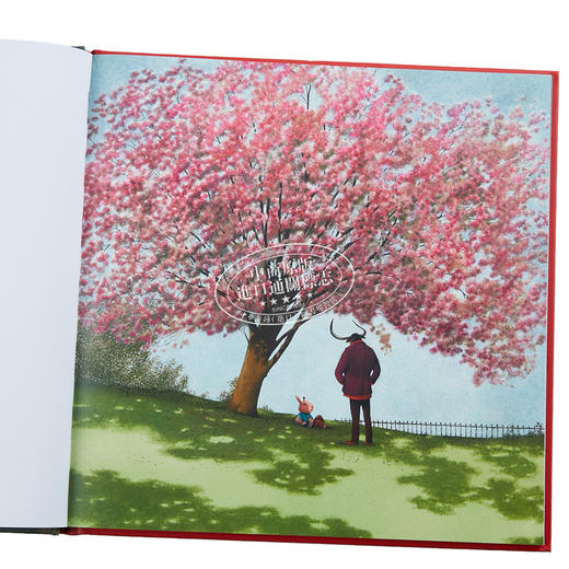 【中商原版】法国绘本天后 海贝卡新作 一件美妙的事情 法文绘本 附有音频 法文原版 Une chose formidable DAUTREMER REBECCA 商品图1