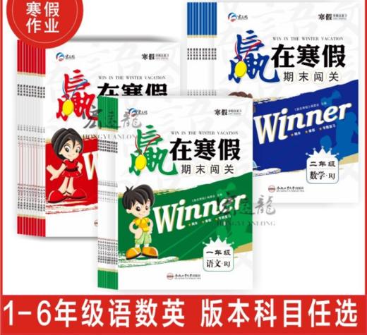【实拍】2024赢在寒假（小学） 商品图0