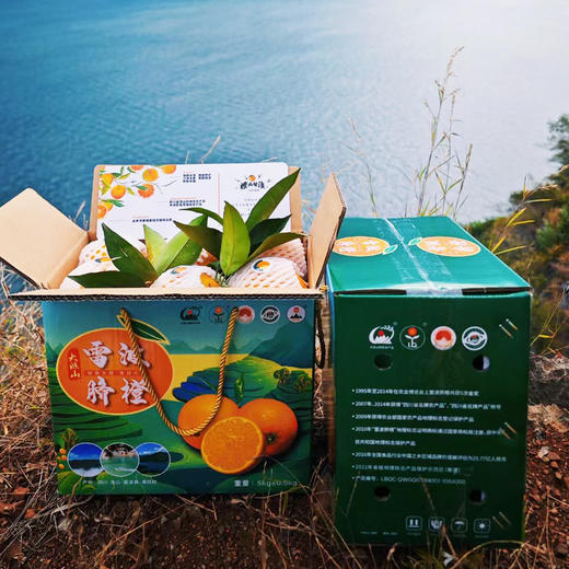 雷波脐橙 商品图8