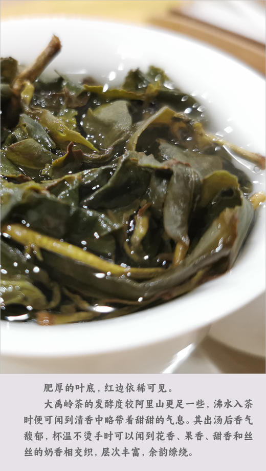 台湾大禹岭高冷乌龙茶 50克清香 商品图4